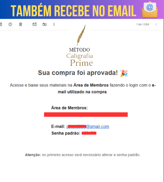 Também recebe o acesso pelo e-mail cadastrado na compra.
